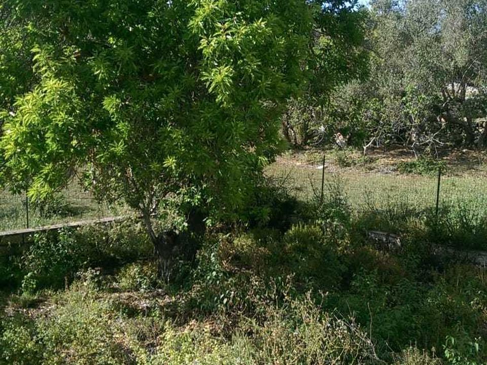 Villa i Ragusa, Ragusa - foto 3