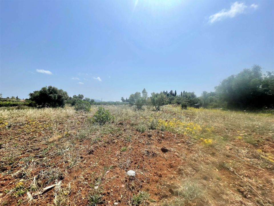 Tomt i Pollenca, Mallorca - bilde 3