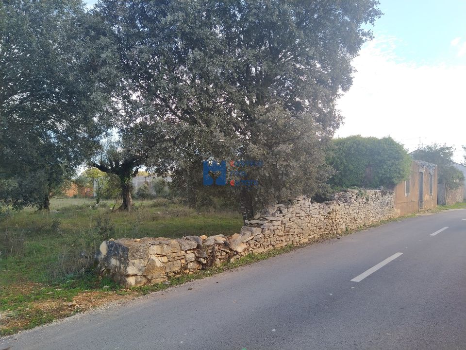 Helårsgrund i Fatima, Santarem - foto 2