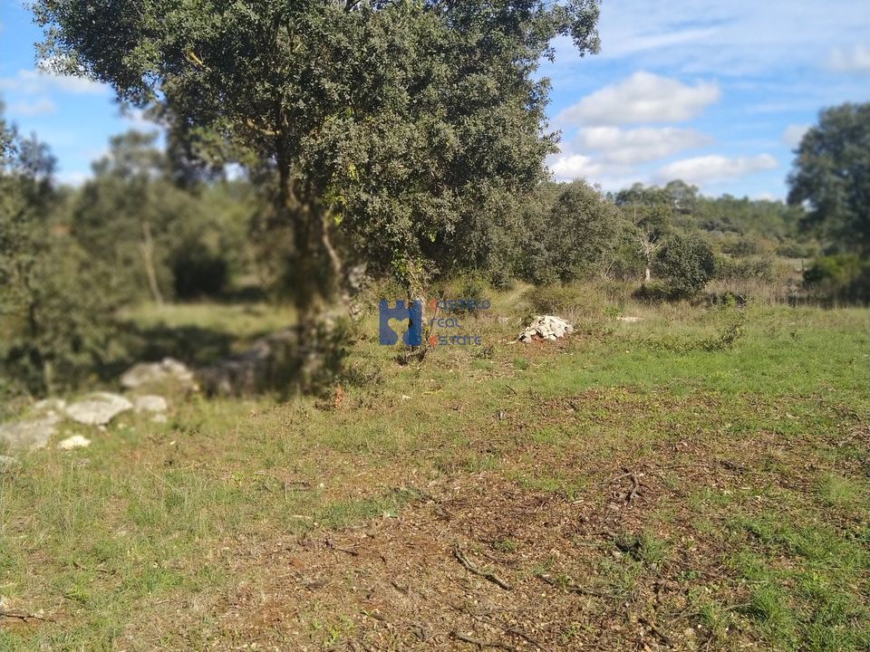 Helårsgrund i Fatima, Santarem - foto 3