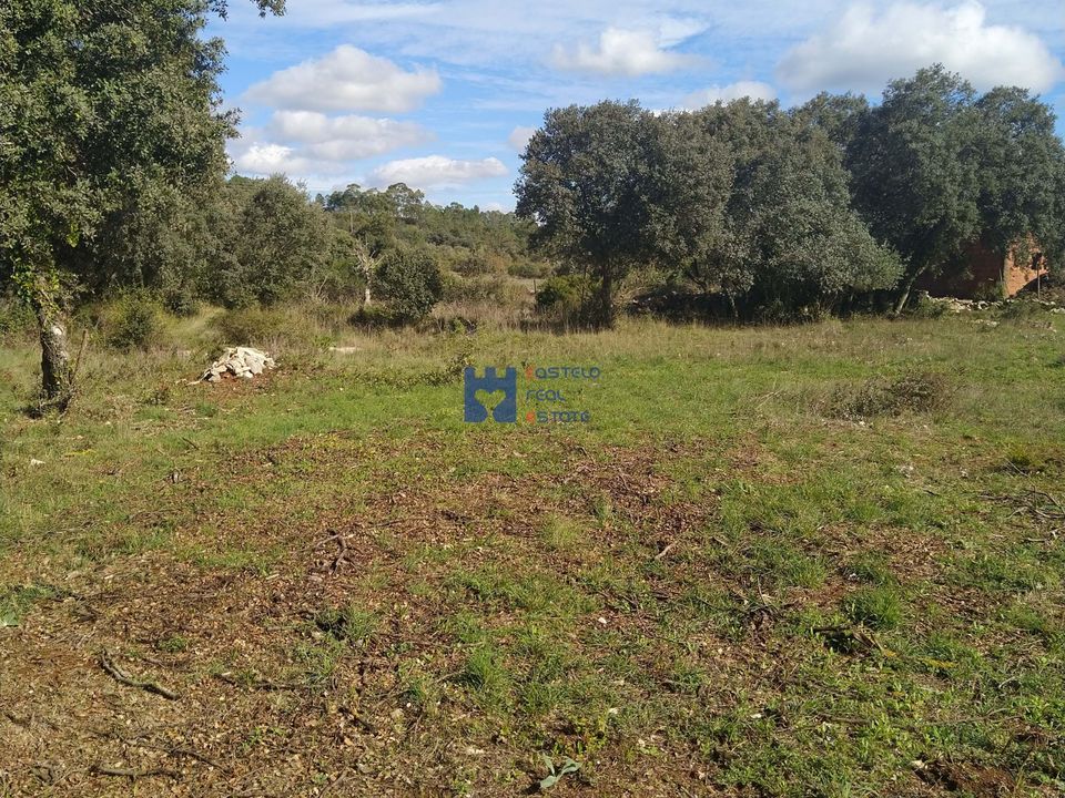 Helårsgrund i Fatima, Santarem - foto 4