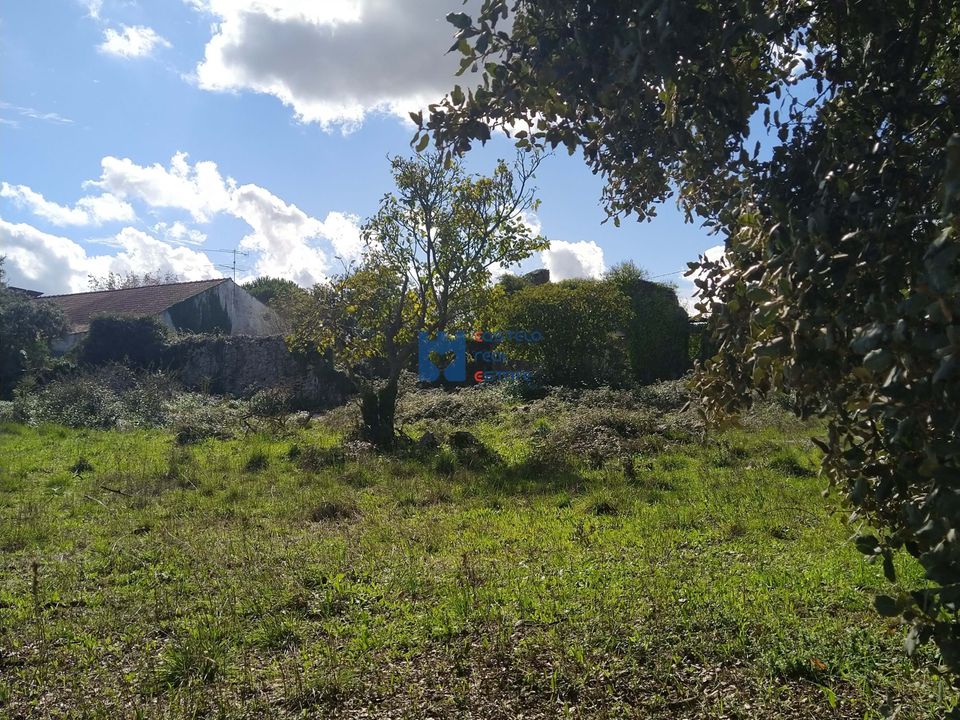 Helårsgrund i Fatima, Santarem - foto 5