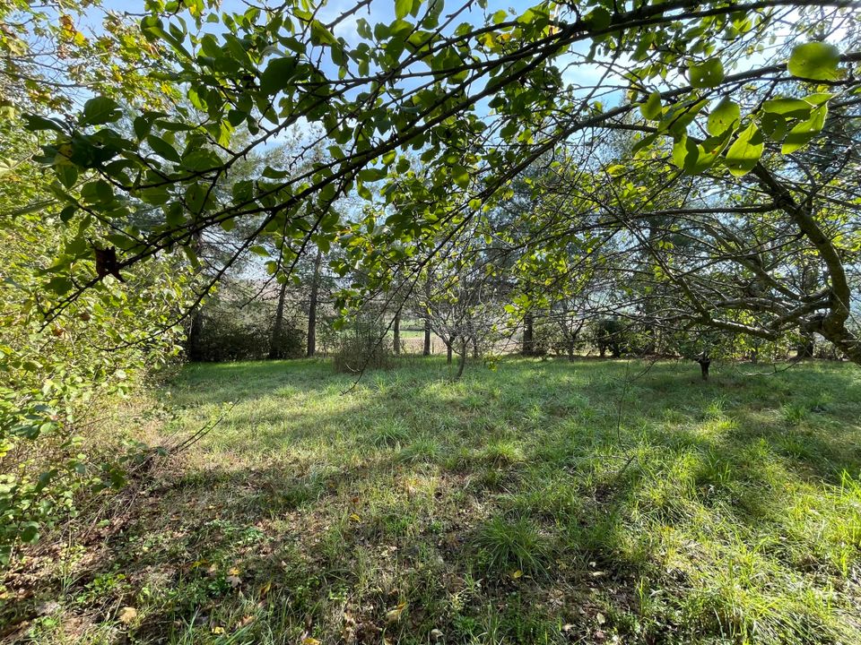 Villa i Jesi, Ancona - foto 4