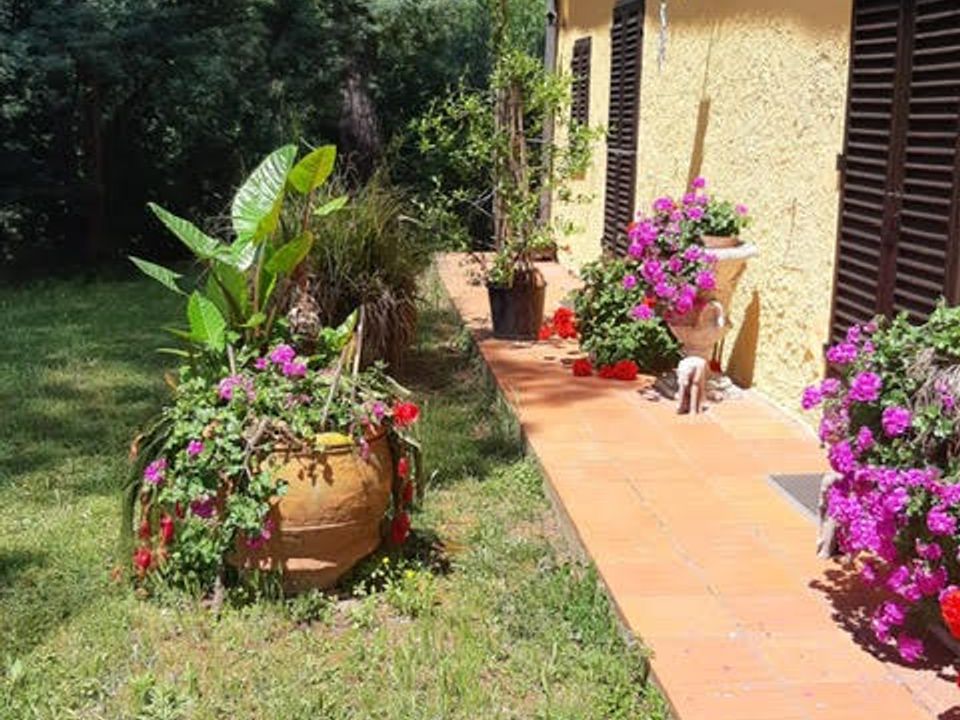 Landejendom i Montevettolini, Pistoia - foto 2