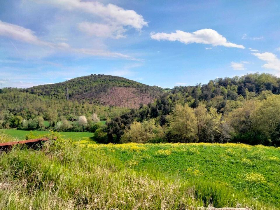 Erhvervsejendom i Amelia, Terni - foto 1
