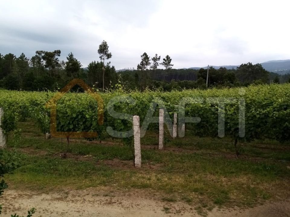 Farm i Moncao, Viana do Castelo - foto 1