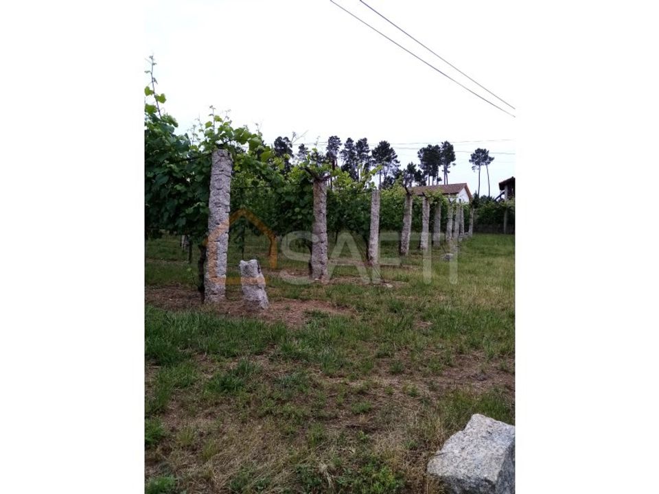 Farm i Moncao, Viana do Castelo - foto 3