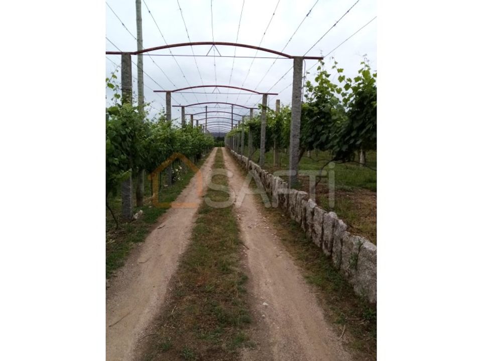 Farm i Moncao, Viana do Castelo - foto 4