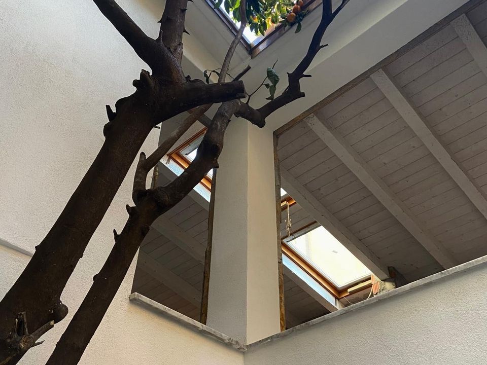 Villa i Sarzana, La Spezia - foto 2