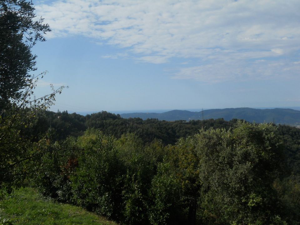 Erhvervsejendom i Sarzana, La Spezia - foto 5