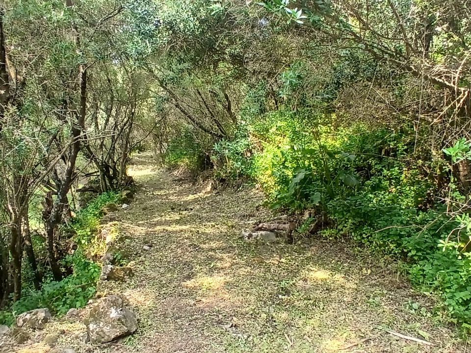 Villa i Cascais, Lisbon - foto 1