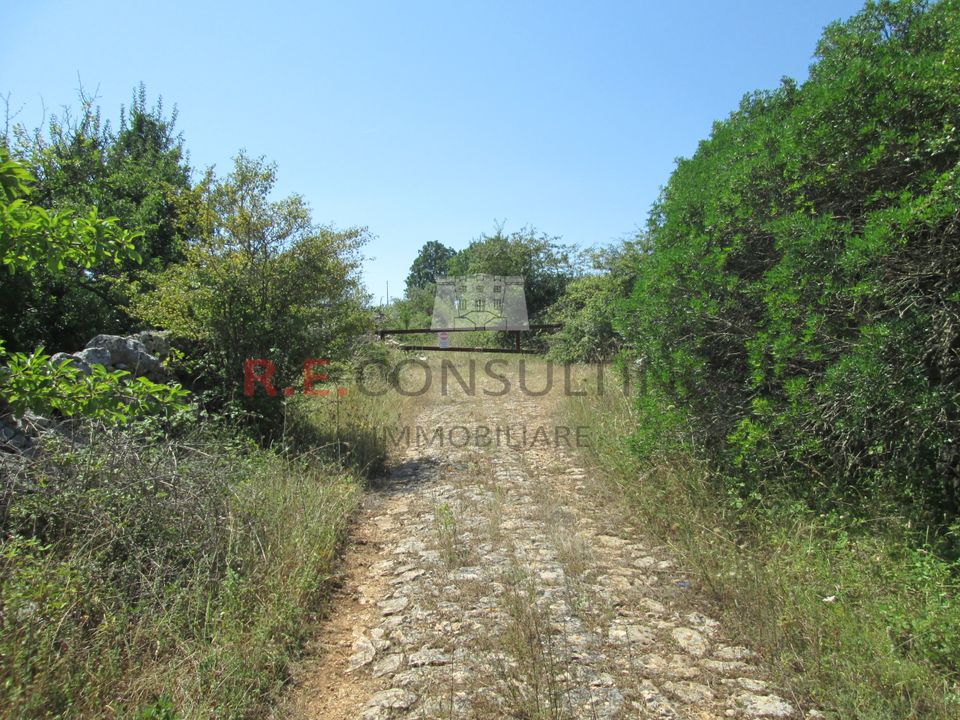 Villa - Martina Franca, Taranto - photo 4