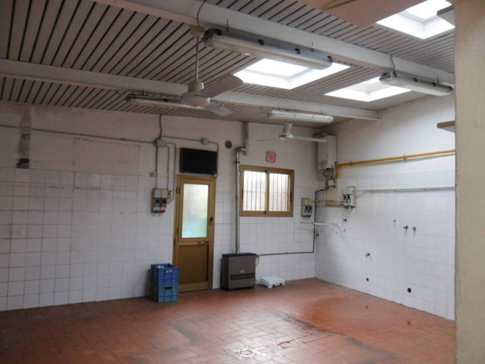 Erhvervsejendom i Capannori, Lucca - foto 4