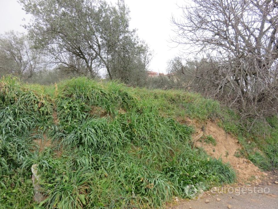 Helårsgrund i Tarouca, Viseu - foto 3