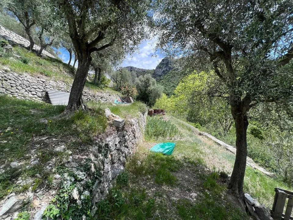 Helårsgrund i Touet-de-l'Escarene, Alpes-Maritimes - foto 2