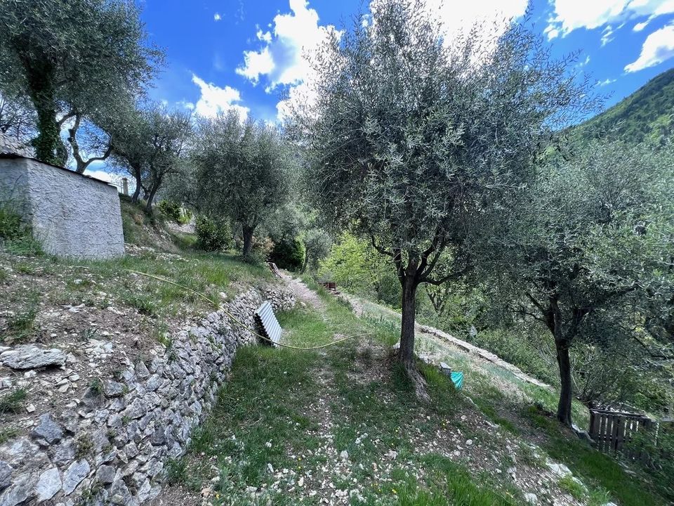 Helårsgrund i Touet-de-l'Escarene, Alpes-Maritimes - foto 5