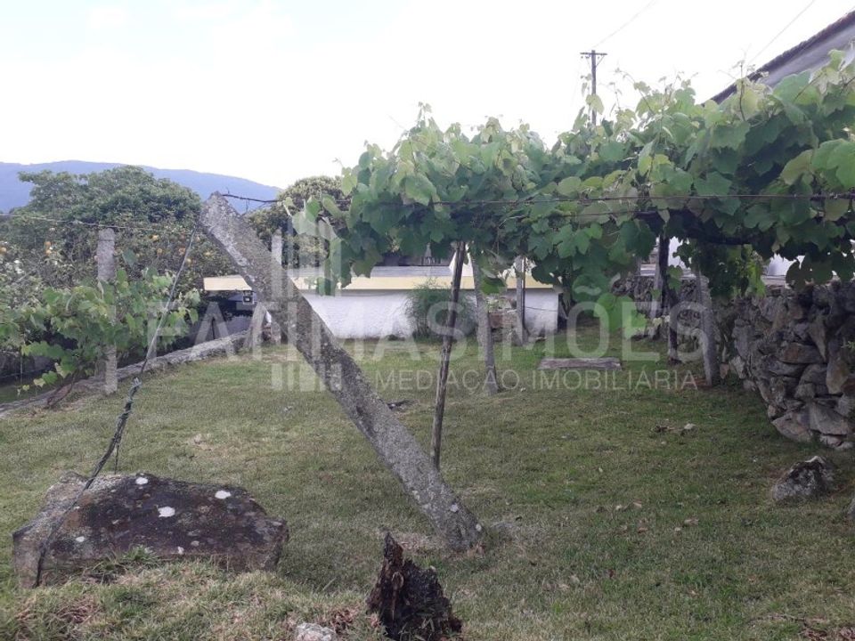 Farm i Vila Praia de Ancora, Viana do Castelo - foto 5