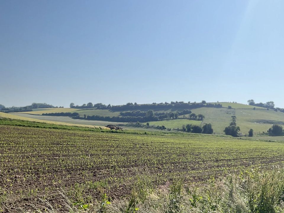 Helårsgrund i Marenla, Pas-de-Calais - foto 2