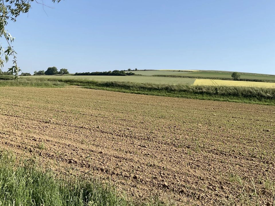 Helårsgrund i Marenla, Pas-de-Calais - foto 3