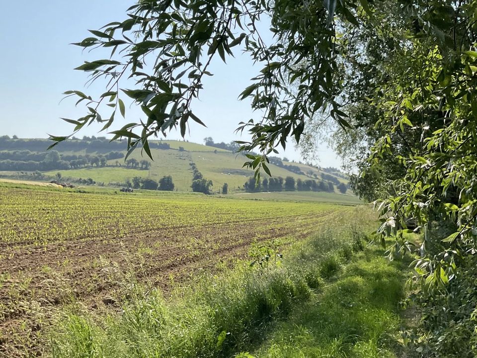 Helårsgrund i Marenla, Pas-de-Calais - foto 5
