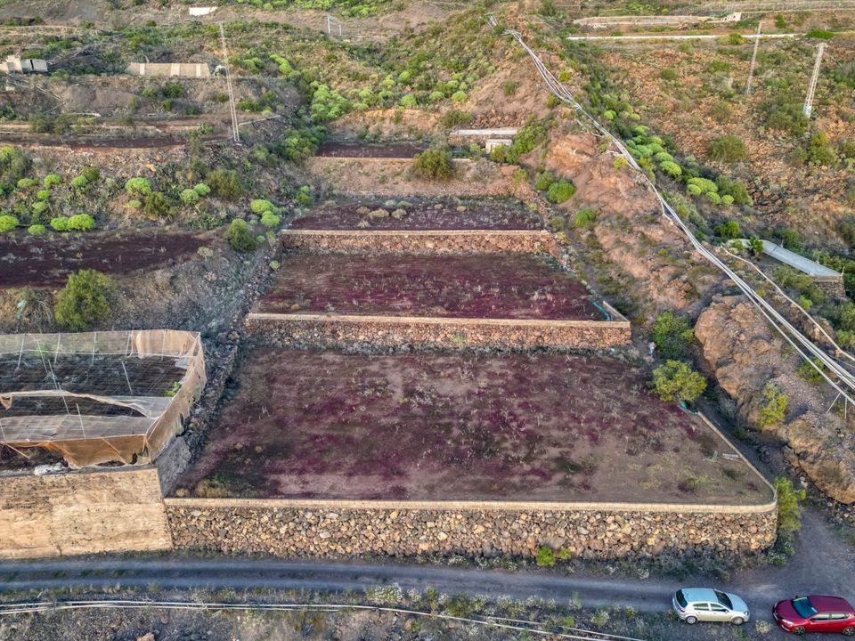 Helårsgrund i Guia De Isora, Tenerife - foto 1