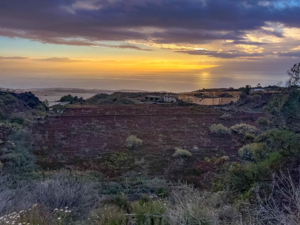 Helårsgrund i Guia De Isora, Tenerife - foto 4