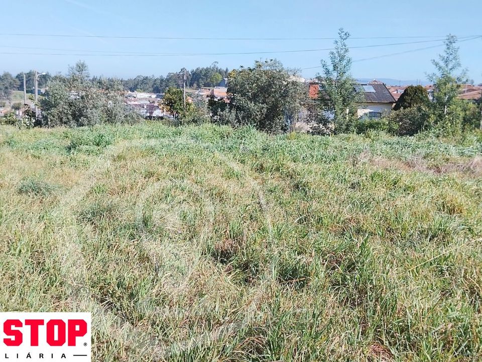 Helårsgrund i Oliveira do Bairro, Aveiro - foto 1