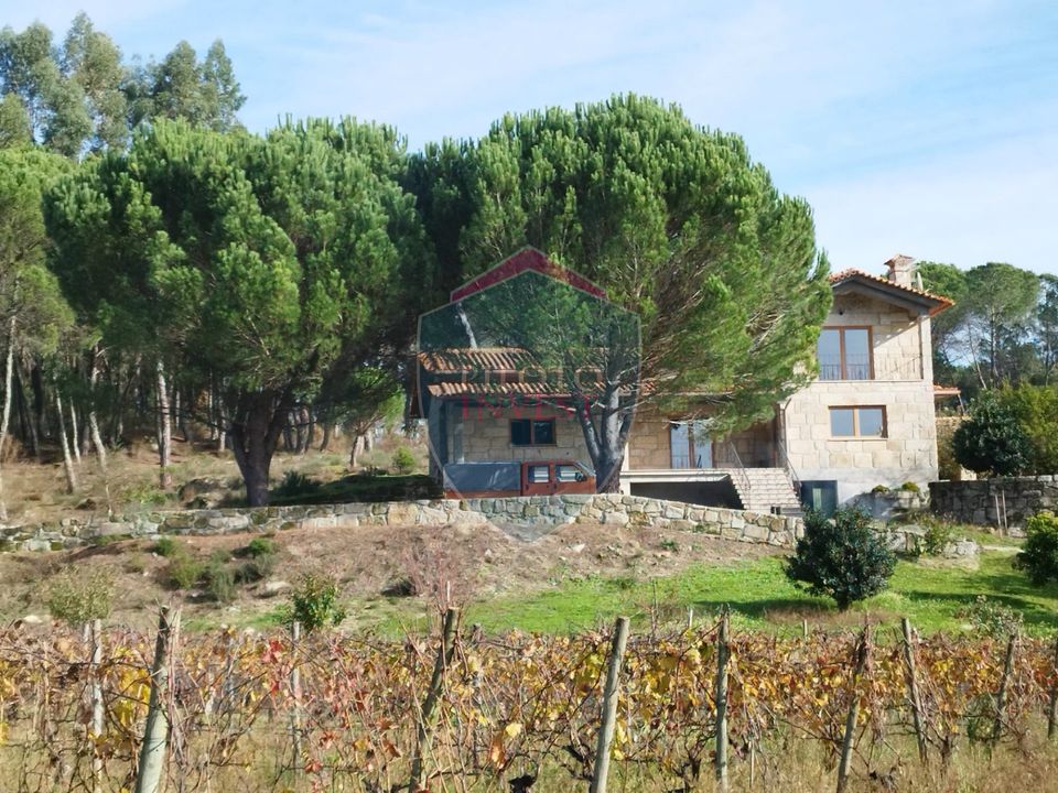 Farm i Viseu, Viseu - foto 1
