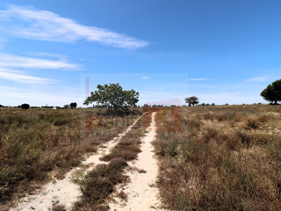 Helårsgrund i Montijo, Setubal - foto 3