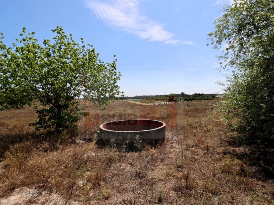 Helårsgrund i Montijo, Setubal - foto 4
