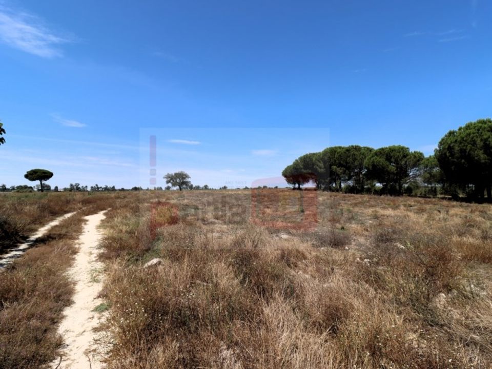 Helårsgrund i Montijo, Setubal - foto 5