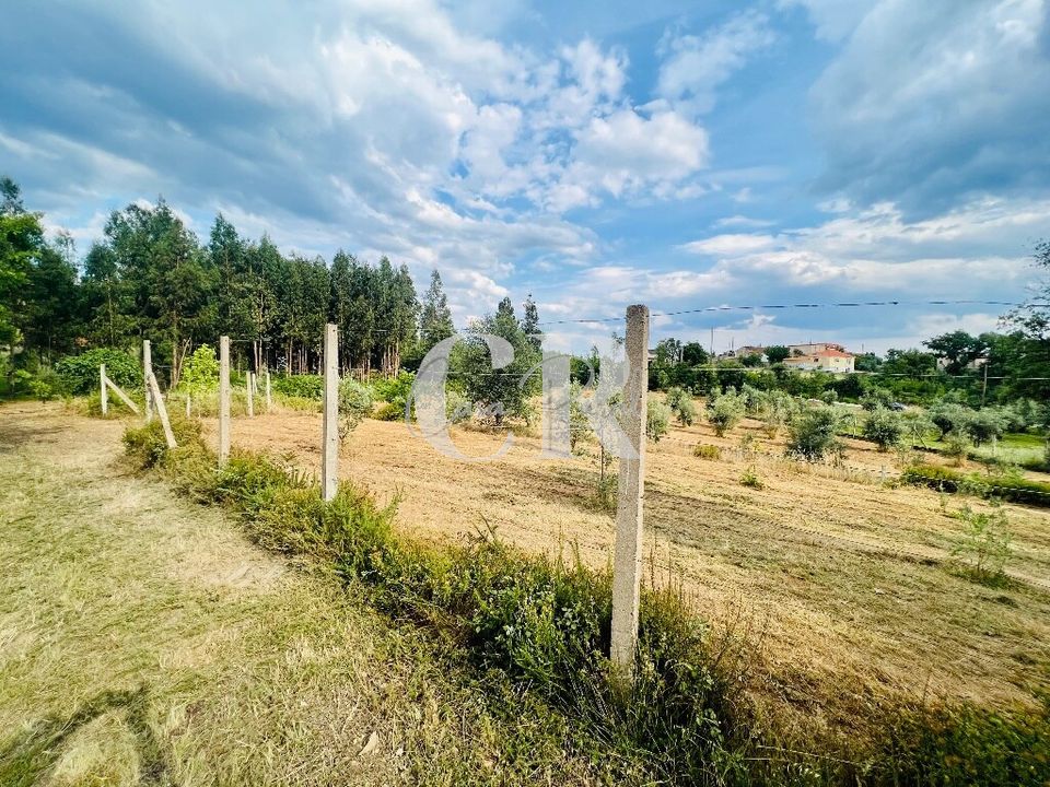 Helårsgrund i Pedrogao Grande, Leiria - foto 1