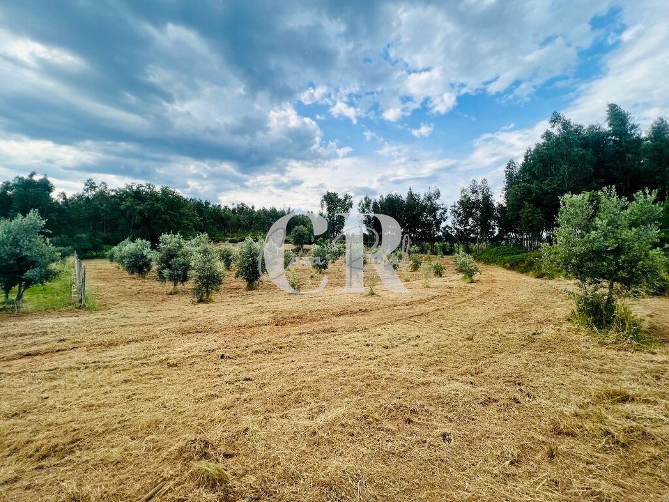 Helårsgrund i Pedrogao Grande, Leiria - foto 2