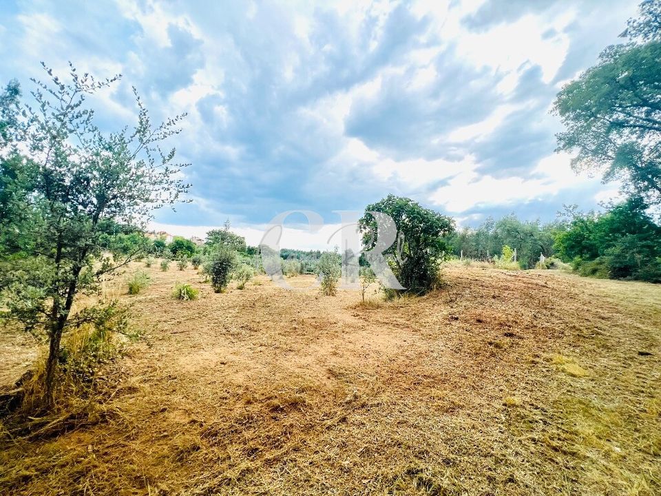 Helårsgrund i Pedrogao Grande, Leiria - foto 3