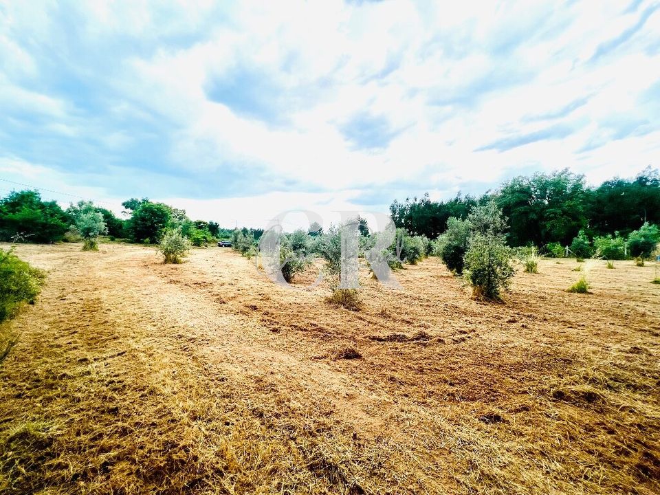 Helårsgrund i Pedrogao Grande, Leiria - foto 4