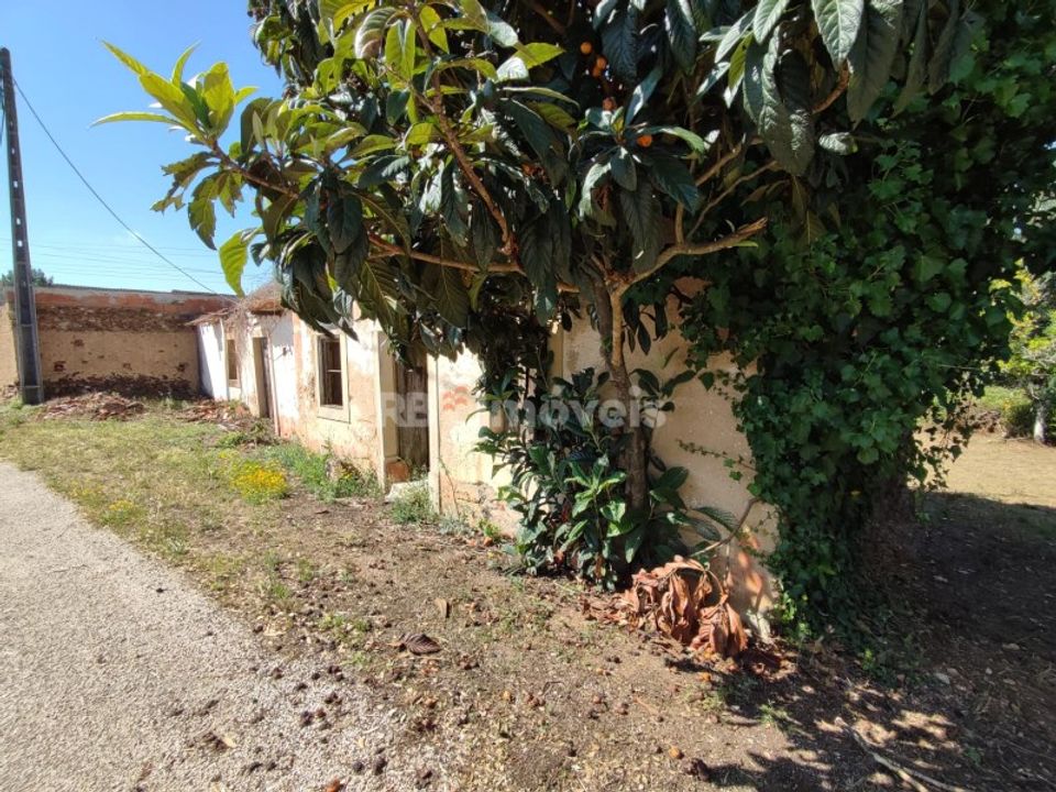 Ruinere i Igreja Nova do Sobral, Santarem - foto 5
