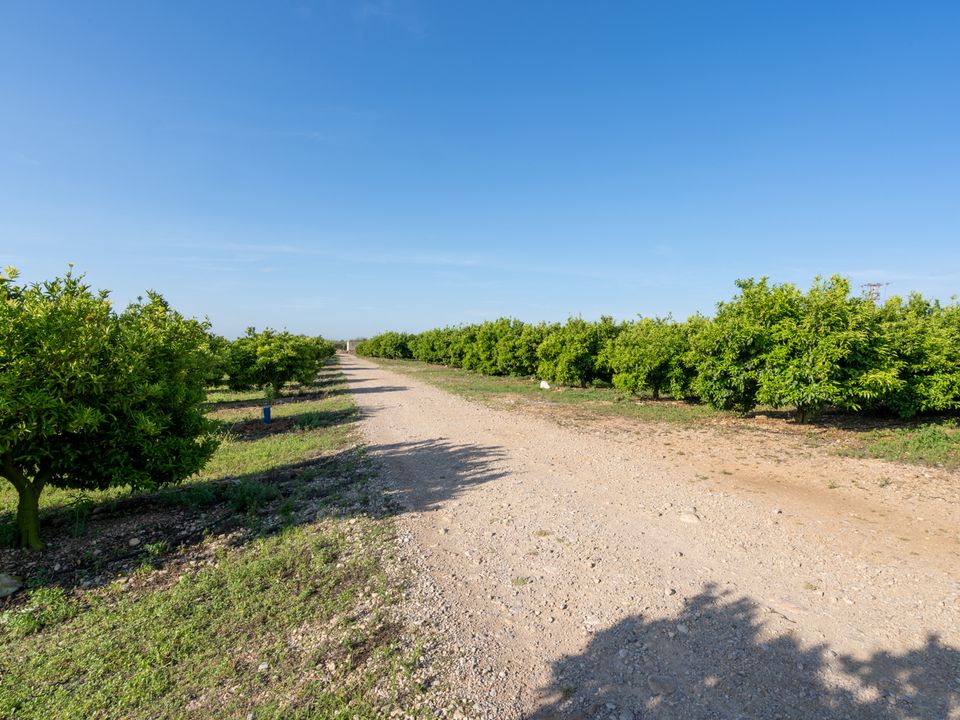 Finca i La Galera, Tarragona - bilde 2