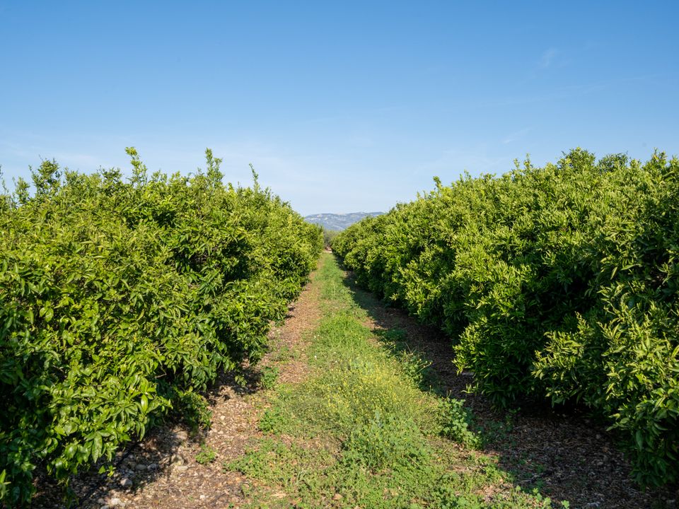 Finca i La Galera, Tarragona - bilde 1