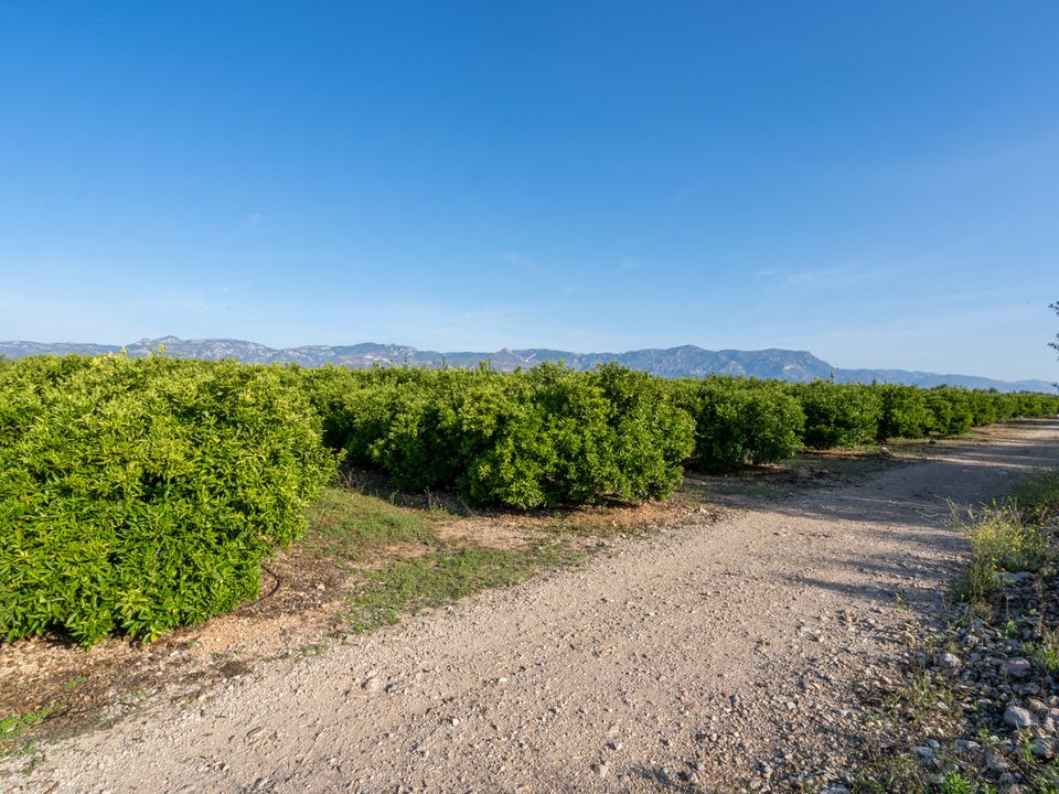 Finca i La Galera, Tarragona - bilde 3