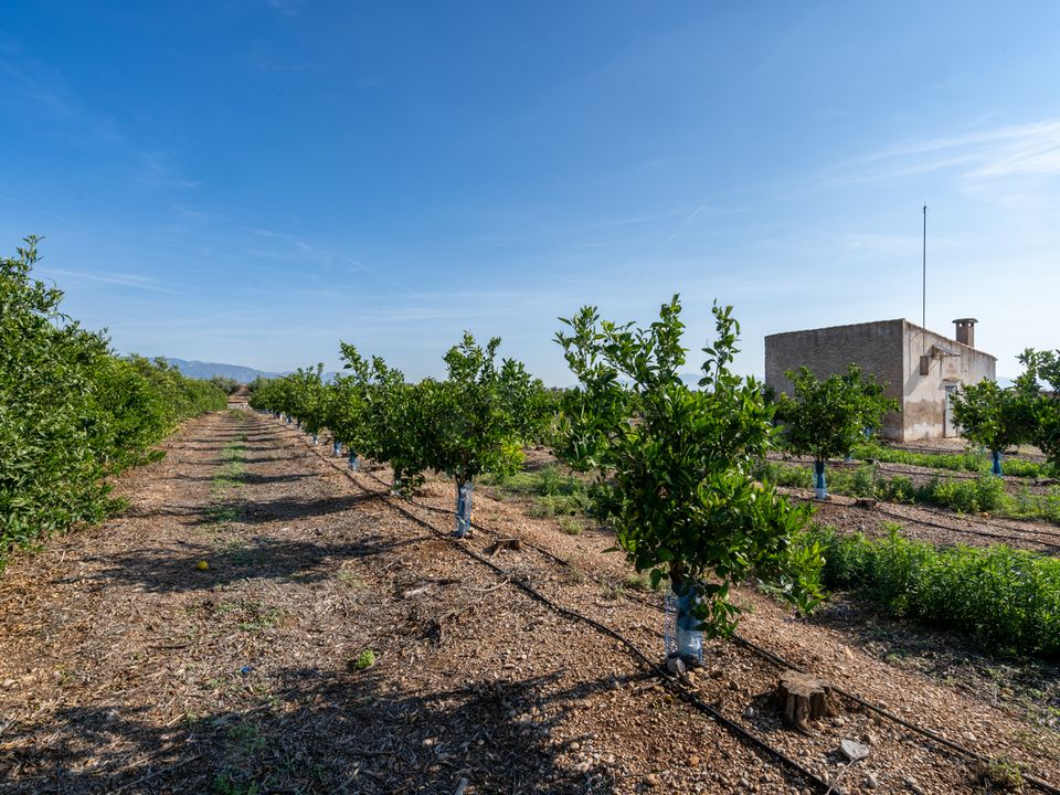 Finca i Santa Barbara, Tarragona - foto 1