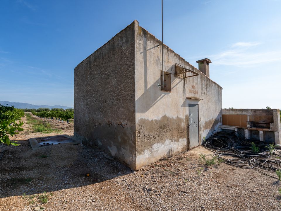 Finca i Santa Barbara, Tarragona - foto 3