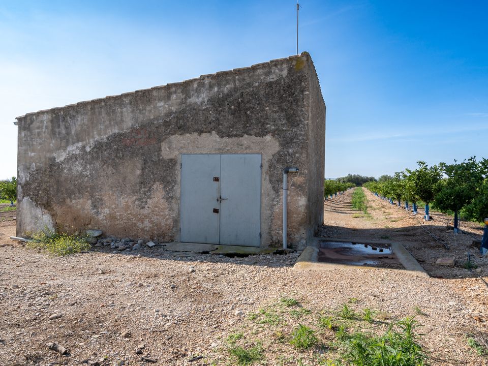 Finca i Santa Barbara, Tarragona - foto 4