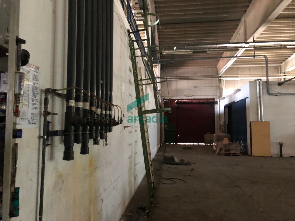 Commercial property in Modugno, Bari - photo 5