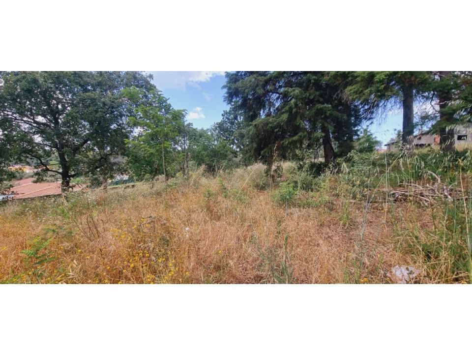 Terra a Monte Real, Leiria - foto 3