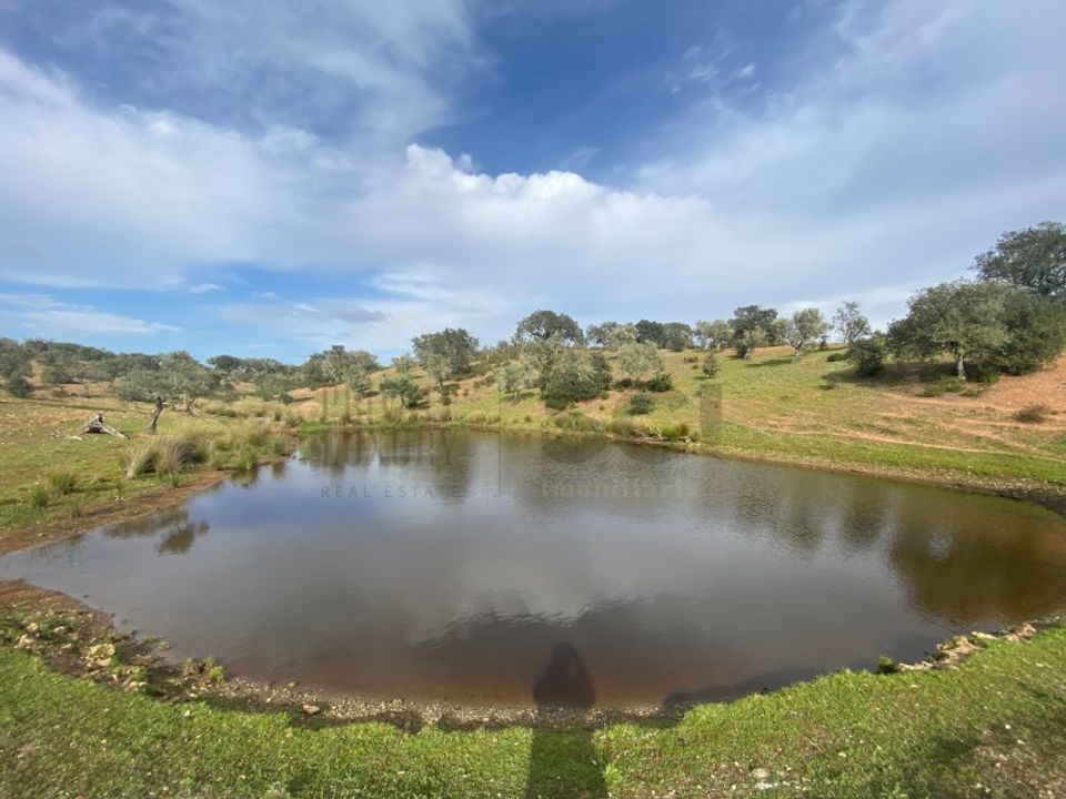 Landejendom i Vila Nova de Sao Bento e Vale de Vargo, Beja - foto 3