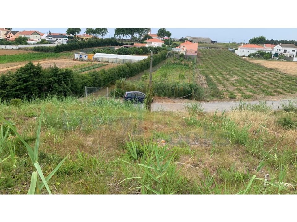 Helårsgrund i Serra de El Rei, Leiria - foto 1