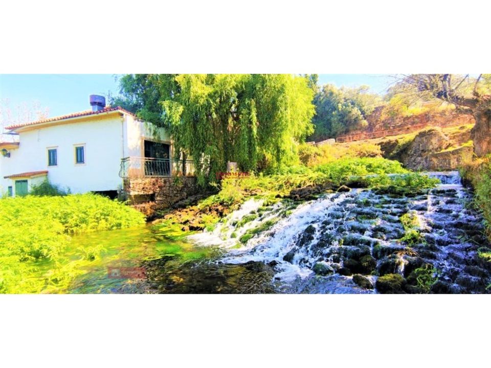 Farm i Pombal, Leiria - foto 1