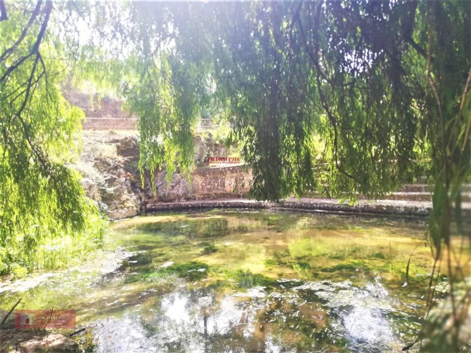 Farm i Pombal, Leiria - foto 4