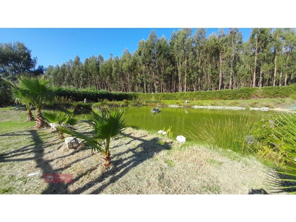Helårsgrund i Asseiceira, Santarem - foto 1