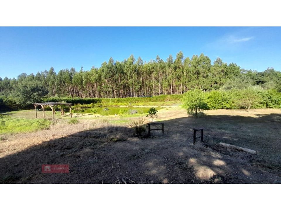 Helårsgrund i Asseiceira, Santarem - foto 2